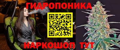ECSTASY Краснодар