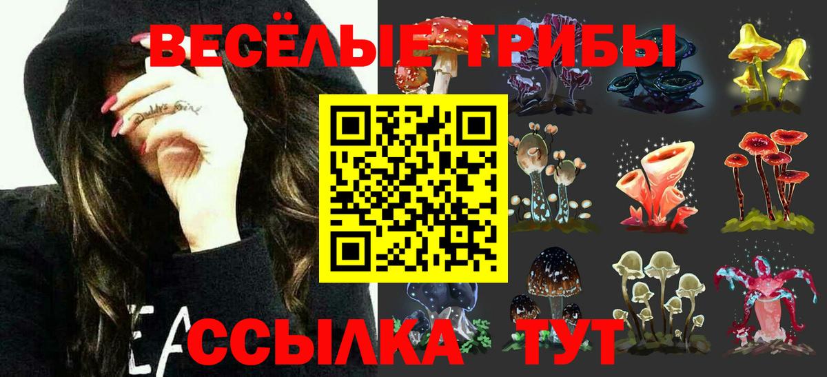 Гай  Псилоцибиновые грибы мухоморы  Псилоцибиновые грибы мухоморы  Вход с VPN 